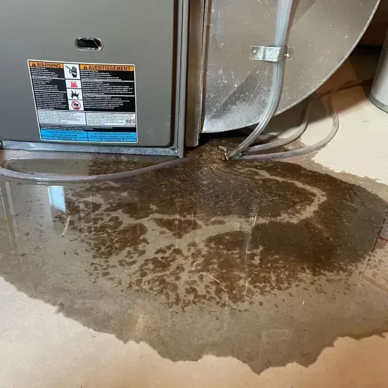 Appliance Leak Cleanup in Shelby County, KY